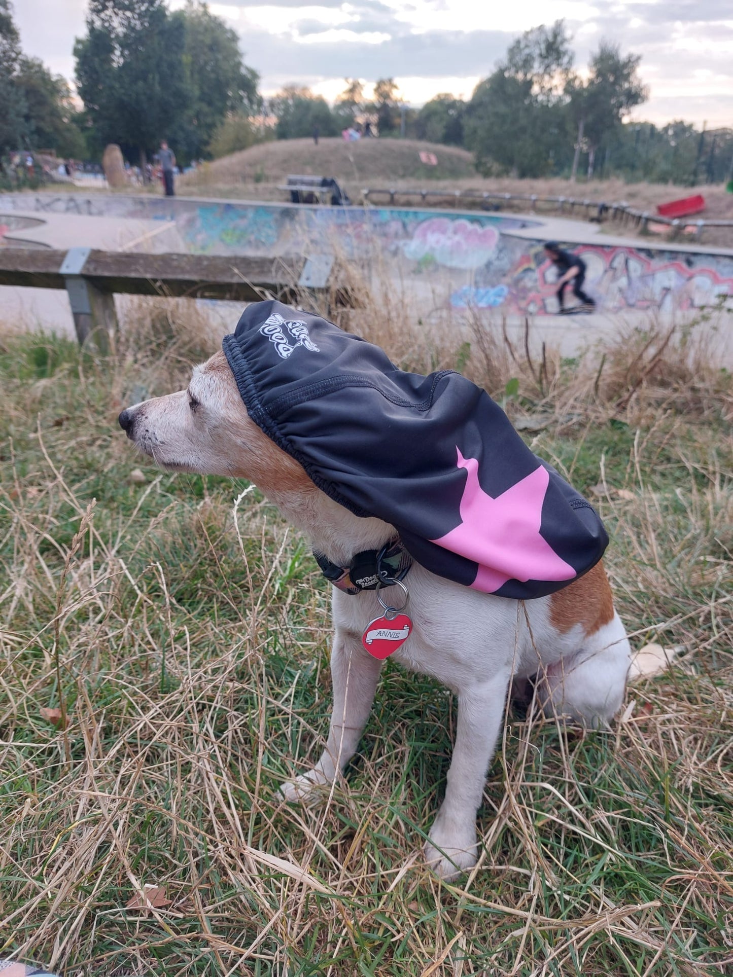 Pivot helmet cover (double sided)