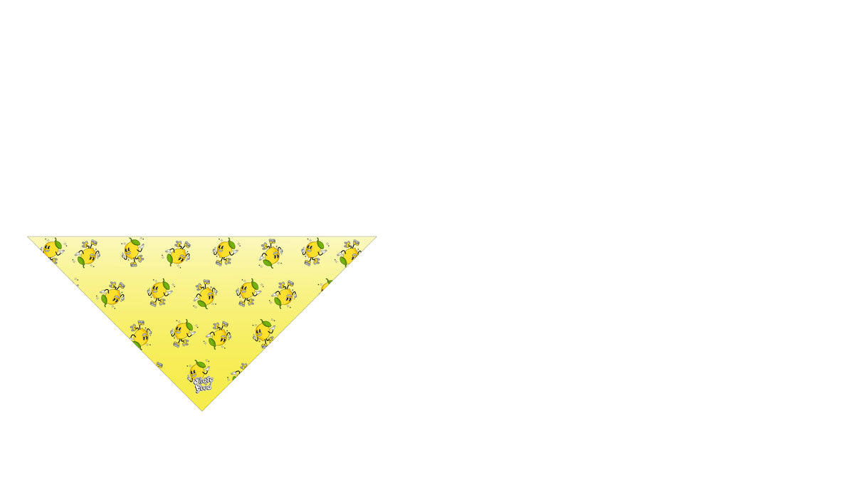 *Orlando Roller Derby Scarves & Bandanas
